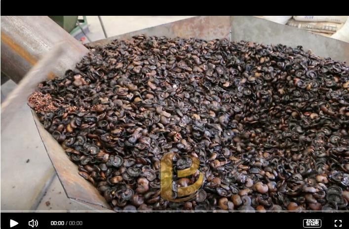 环保骚片AV蜜桃精品一区炭化处理腰果外壳增加经济效益